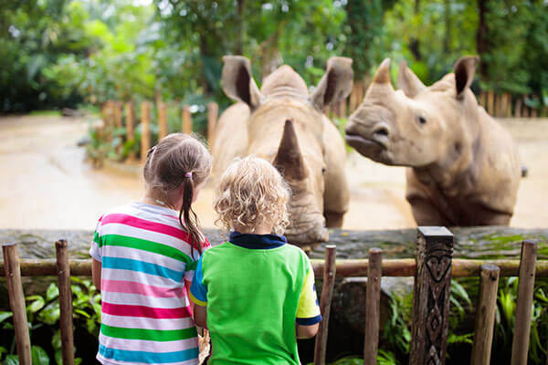 Two young children watching a pair of rhinos at a zoo
